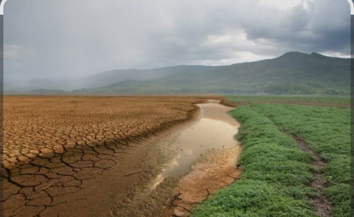 Desa Melawan lklim : Potret Ketahanan Pangan Siak   di Tengah Cuaca Yang Kian Tak Pasti 