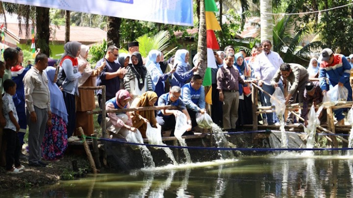 Budidaya Akuaponik Dorong Ekonomi Warga Minas Jaya