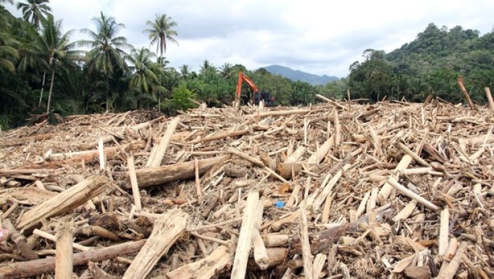 Kayu Gelondongan di Banjir Sumut, Kemenhut Bantah Isu Pembalakan Liar. 