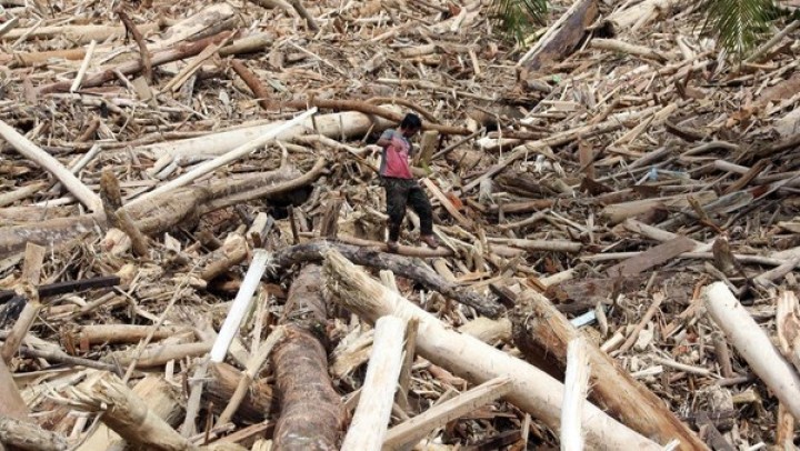 Komisi IV DPR Soroti Viralnya Kayu Gelodongan di Banjir Sumut, Minta Pemerintah Bentuk TIm Investigasi