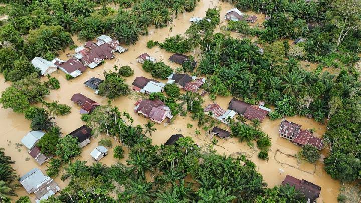 Raja Juli Diminta Siapkan Data Soal Deforestasi Hutan Sumatera