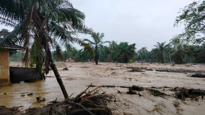Sungai Batang Agam Sumbar Kembali Meluap, Kayu Gelondongan Nyangkut di Jembatan 