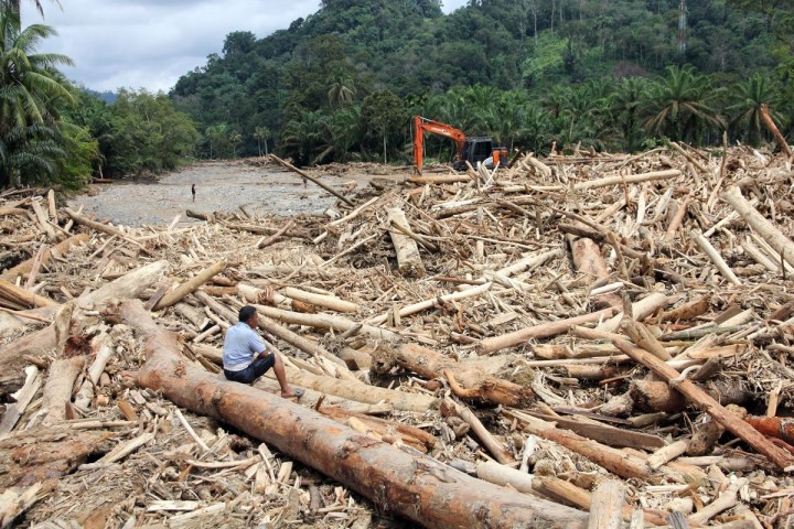 Gelondongan kayu terbawa banjir Sumatera. Sumber: kompas.com
