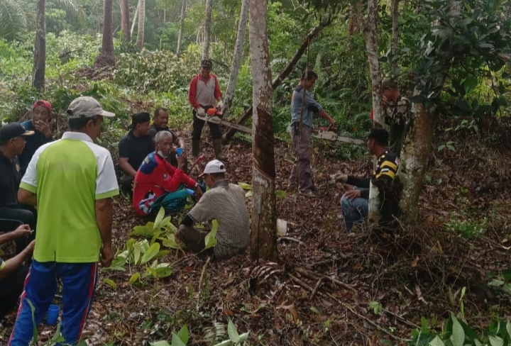 Awal Pembangunan Koperasi Desa Merah Putih Dimulai Aksi Gotong Royong di Desa Muntai
