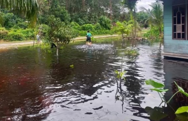 Diguyur Hujan Sejak Sore Kemarin, Dusun III Simpang Ayam Terendam Air Banjir