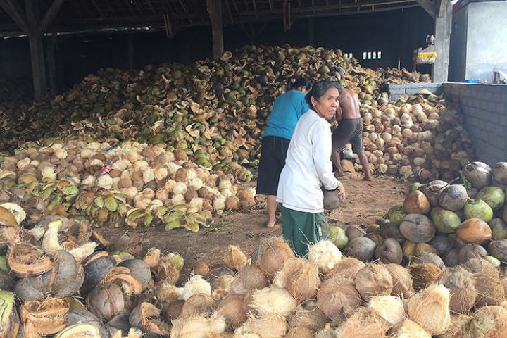 Pedagang kelapa. Sumber: Bali Pos