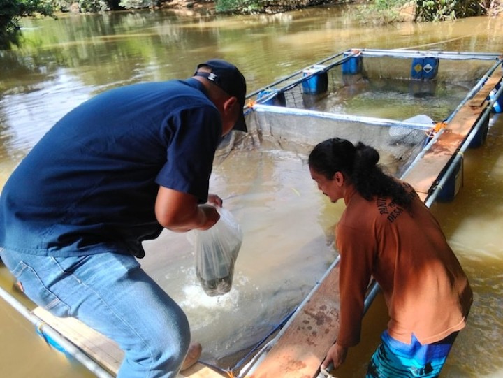 PTPN IV Regional III Stimulus Pemuda Tandun Kelola Potensi Sungai Tapung Wujudkan Kemandirian Ekonomi