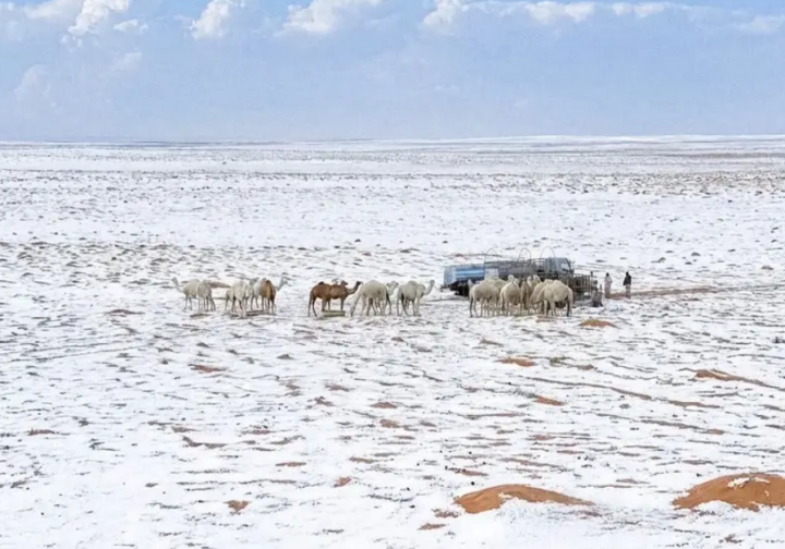 Ketika gurun berubah menjadi putih/ X-@AMAZlNGNATURE