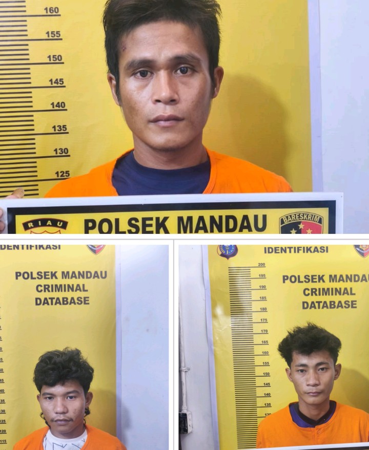 Polsek Mandau Tetapkan 3 Orang Tersangka Kasus Pembacokan dan Penikaman
