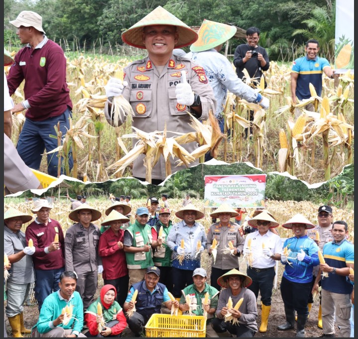 Dukung Asta Cita Presiden, Polres Siak Panen Raya Jagung Kuartal I 2026