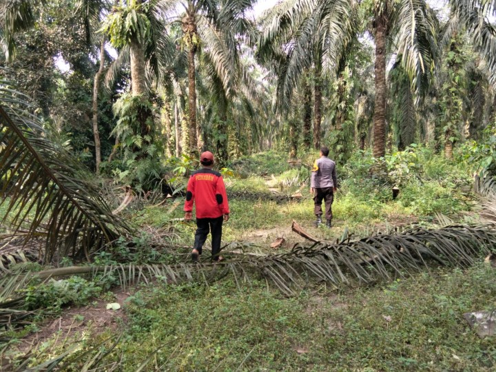 Langkah Preventif Karhutla, Polsek Kandis Sambangi Areal 1000 Dusun Gajah
