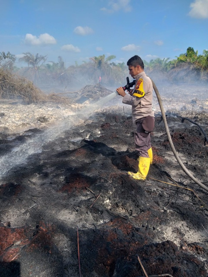 Gerak Cepat Polsek Bungaraya Padamkan Titik Api di Kampung Benayah, Karhutla Berhasil Dikendalikan