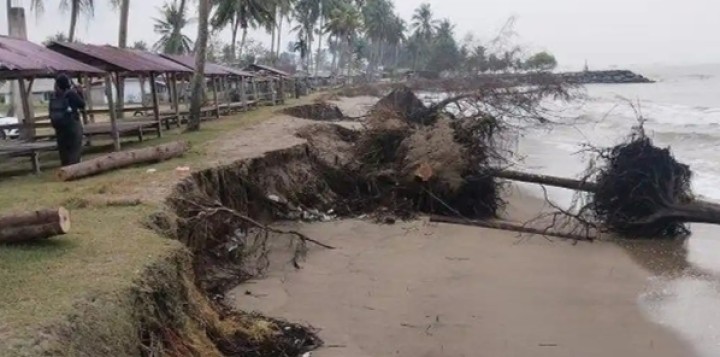 Akibat Gerusan Ombak Dari Selat Melaka, Warga Rupat Utara Desak Pemerintah Daerah dan Pusat 