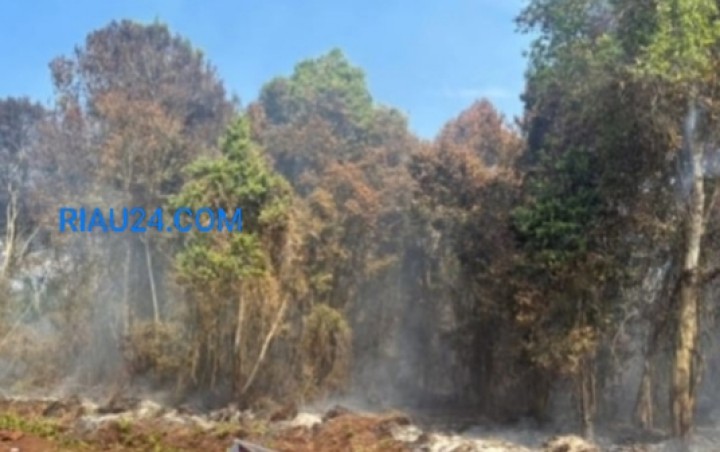 MS Warga Kecamatan Bukit Batu Ditetapkan Tersangka Akibat Karhutla