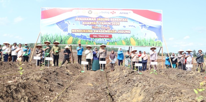 Dukung Swasembada Pangan, Polres Siak Tanam Jagung Serentak 48 Hektare