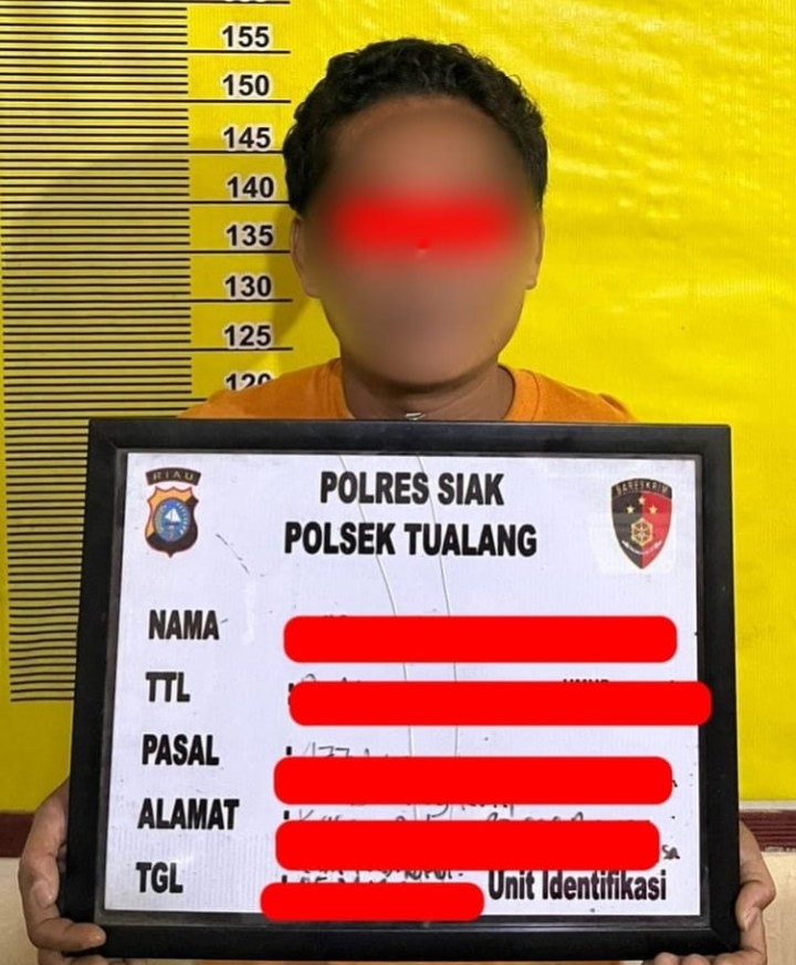 Tertangkap Saat Melangsir Sawit, Pria 41 Tahun Diamankan Polsek Tualang