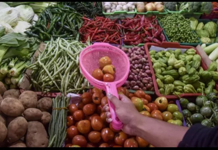 Survei UI : Hampir Setengah dari Ekonom Sebut Ekonomi Indonesia Memburuk