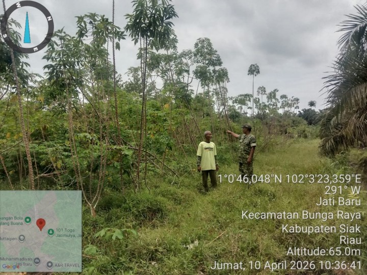 Babinsa Koramil 06/PWK Sabak Auh Laksanakan Patroli Karhutla di Kampung Jatibaru