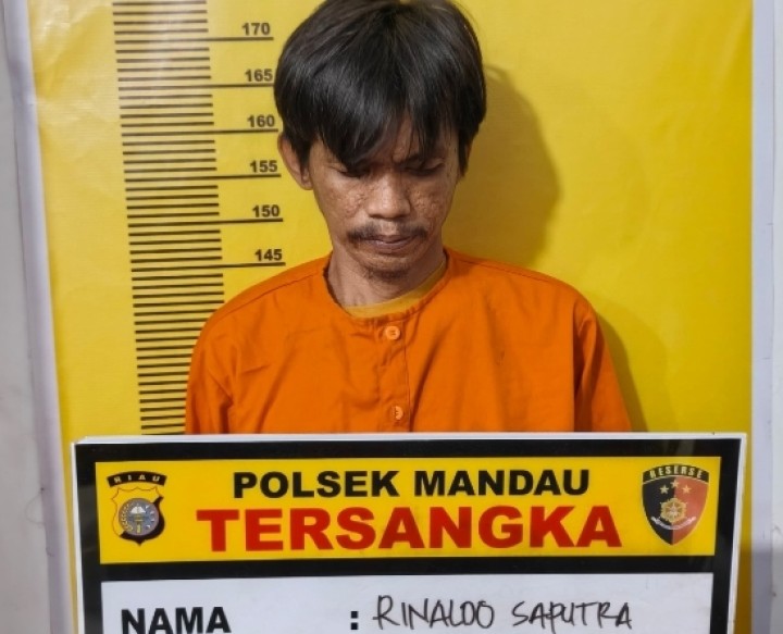 Tergiur Janji Kerja, Korban Rugi 7 Juta, Pelaku Akhirnya Dibekuk