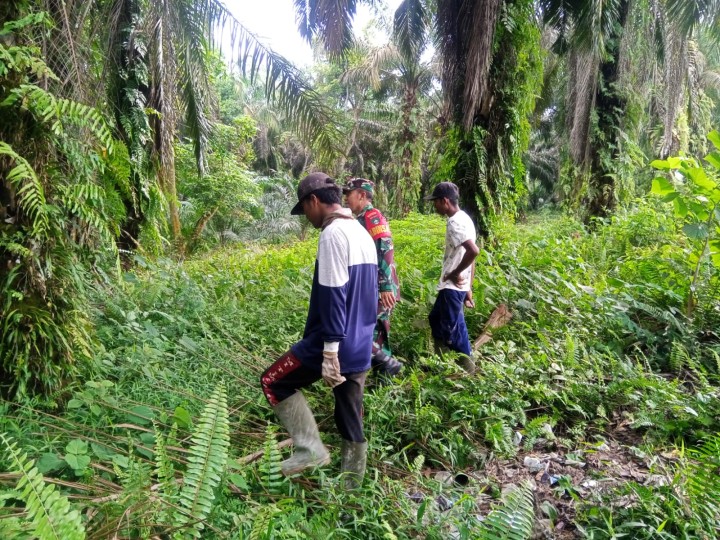 Sinergi Babinsa dan MPA, Karhutla di Kerinci Kiri Tidak Ditemukan