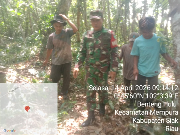 Cegah Karhutla, Babinsa Koramil 01/Siak Sisir Wilayah Mempura 