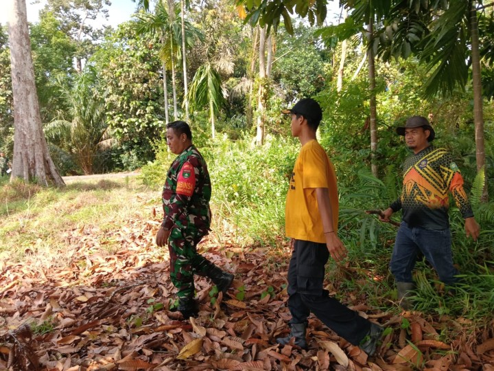 Babinsa Koramil 01/Siak Intensifkan Patroli Karhutla, Pastikan Wilayah Lubuk Dalam Aman dari Ancaman Kebakaran