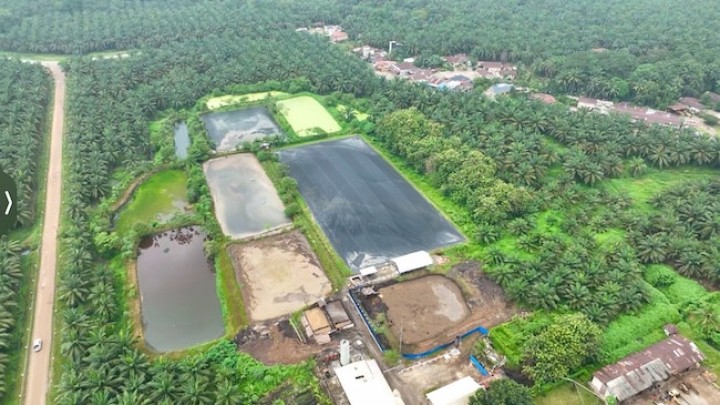 Dua PLTBg Ini Jadi Andalan PalmCo Tekan Biaya Energi di Tengah Gejolak Global