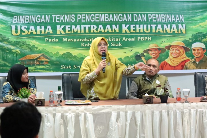 Afni Soroti Kendala KTH, Minta Perusahaan Ikut Membina