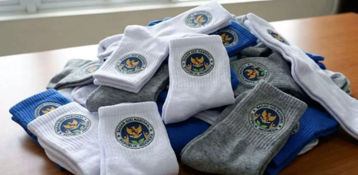 Kaos kaki Makan Bergizi Gratis (MBG). Sumber: Internet