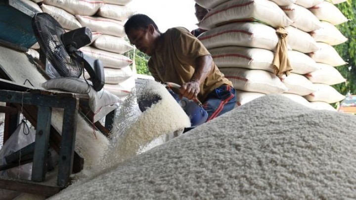 Produsen beras. Sumber: suara.com