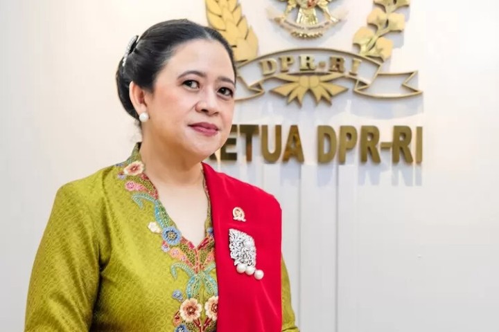 Ketua DPR RI Puan Maharani. Sumber: DPR RI