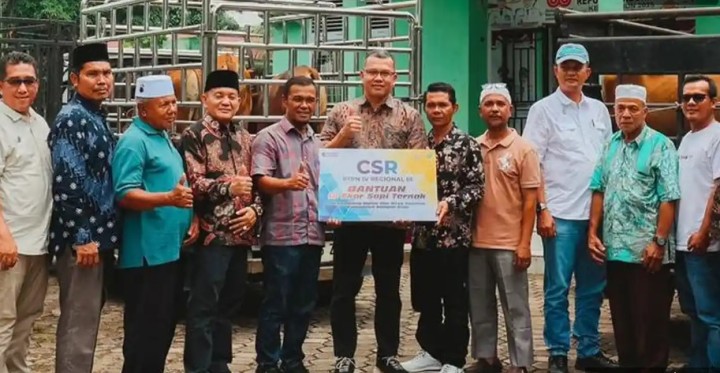 PTPN IV Rangkul Masyarakat Adat di Kampar, Perkuat Ketahanan Pangan-Ekonomi Melalui Peternakan Sapi