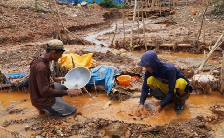 Tambang emas milik rakyat. Sumber: Internet