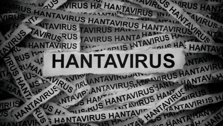 Terjebak Wabah Virus Hanta, Begini Nasib Ratusan Penumpang Kapal Pesiar MV Hondius   