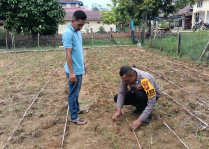 Polsek Rokan IV Koto Rohul Cek Pertumbuhan Jagung di Desa Sulingi