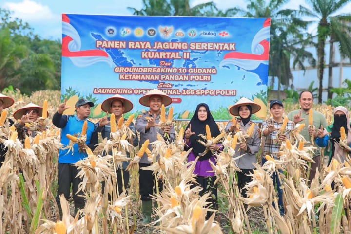 Dukung Swasembada Pangan, Polres Siak Gelar Panen Raya Jagung di Lubuk Dalam