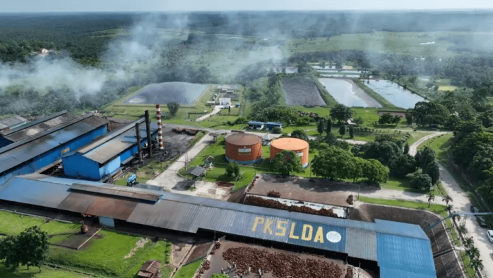 BRIN Kaji Limbah Sawit Jadi Energi Hijau di Riau, Dorong Ekonomi Sirkular Industri Sawit