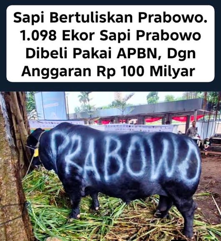 Ini yang Sebenarnya Terjadi Pasca Heboh Sapi Kurban Prabowo Langgar Aturan