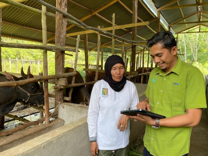 Dua Dekade Kelompok Ternak Ingin Maju Bertahan dan Berkembang di Koto Benai