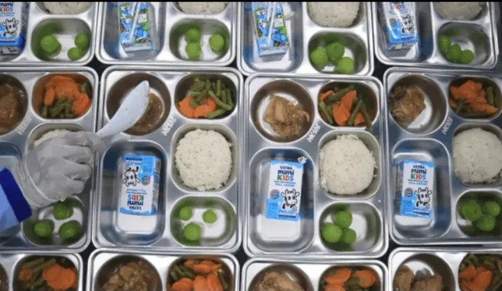Program Makan Bergizi Gratis (DPR: