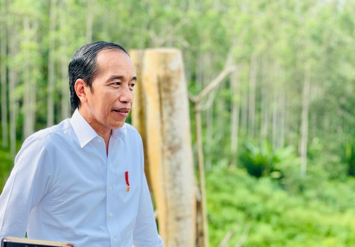 Presiden ke-7 Joko Widodo di Ibu Kota Nusantara (IKN). Sumber: Internet