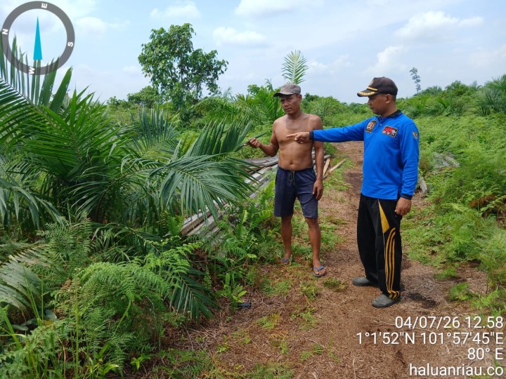 Warga Kampung Temusai Bakal Tempuh Jalur Hukum Terkait Sengketa Lahan di Perbatasan Siak–Bengkalis
