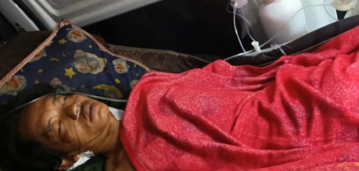 Pekerja di Sungai Apit Nyaris Tewas Diterkam Harimau, Selamat Berkat Aksi Cepat Rekan