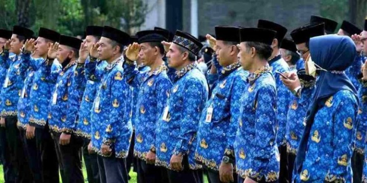 Ilustrasi Pegawai Pemerintah dengan Perjanjian Kerja (PPPK). Sumber: Internet