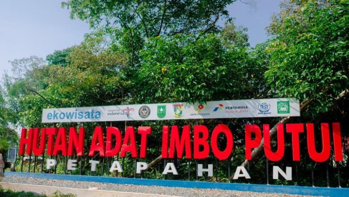 Pengembangan Hutan Adat Imbo Putui Dorong Pertumbuhan Ekonomi Wisata Desa di Kampar