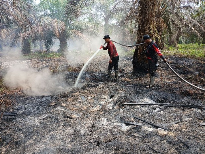 Gerak Cepat Tangani Karhutla, Fire Fighter PT RAPP Diganjar Penghargaan dari Camat Kotogasib
