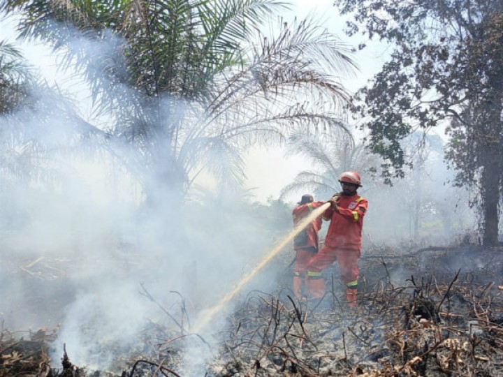 Penanganan kebakaran hutan dan lahan (karhutla). Sumber: Kementerian Kehutanan