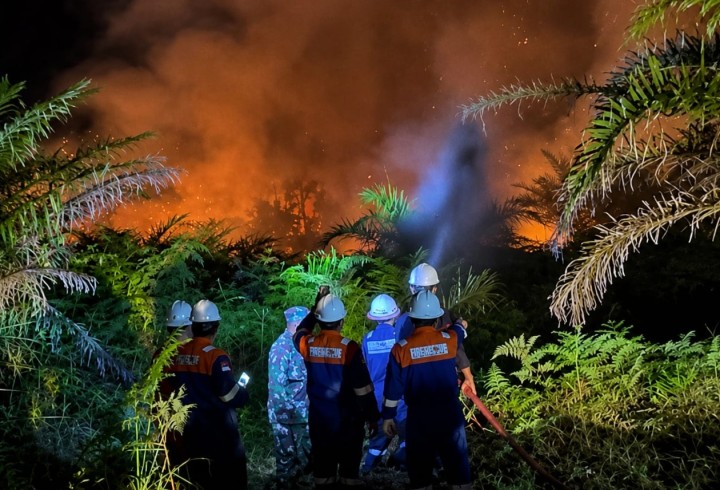 Kabut Asap Mulai Ganggu Warga, Bupati Siak Minta PKS Setop Bakar Jangkos