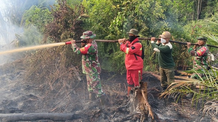 Karhutla di Dayun Capai 6 Hektare, Lebih dari 200 Personel Gabungan Berjibaku Padamkan Api