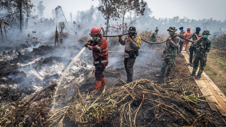 Usulan Karhutla jadi Bencana Nasional